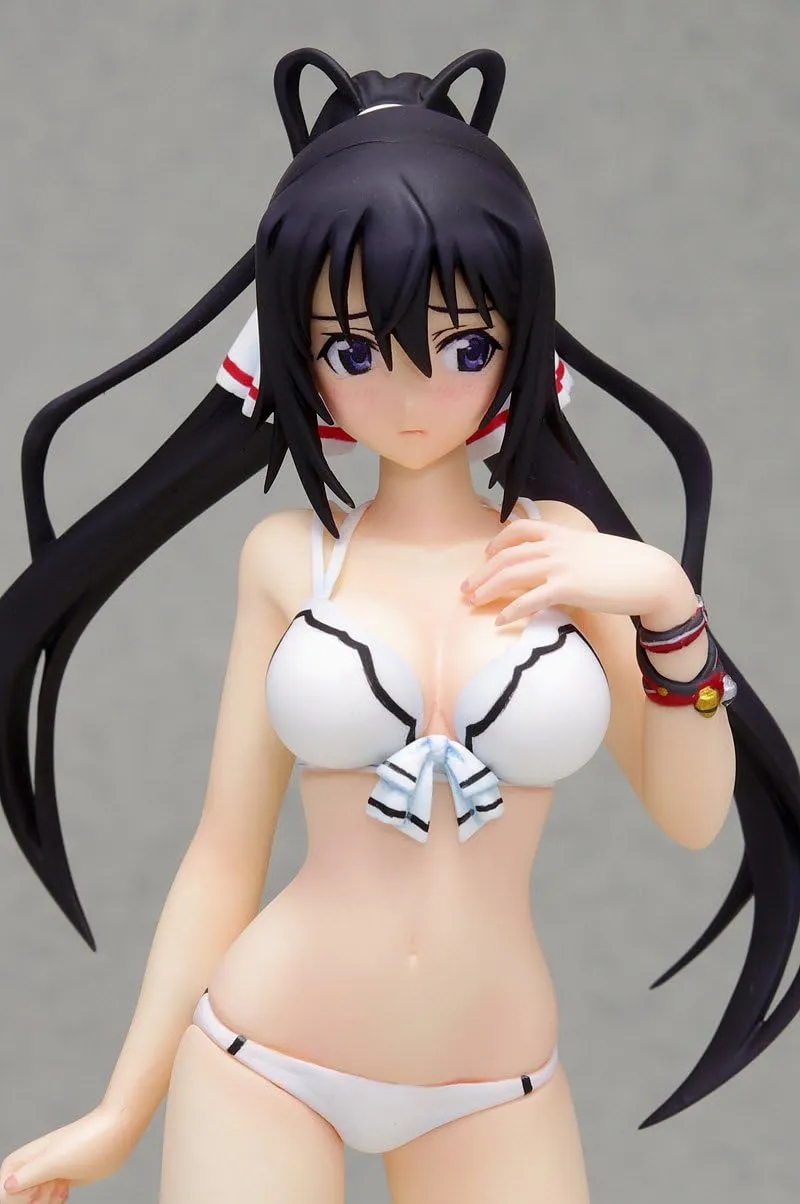 BEACH QUEENS - Infinite Stratos: Houki Shinonono 1/10 Complete Figure