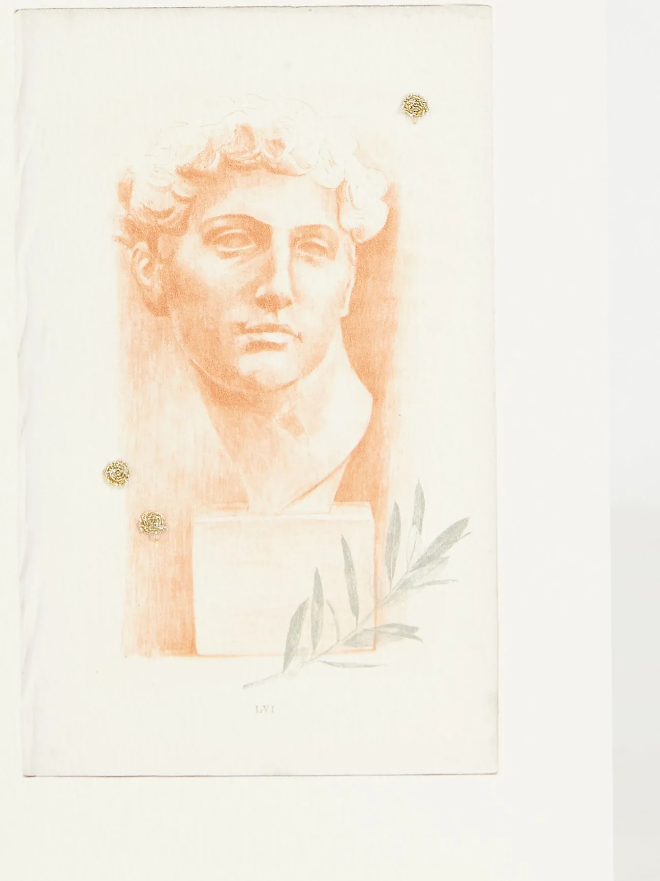 De Medici Bust