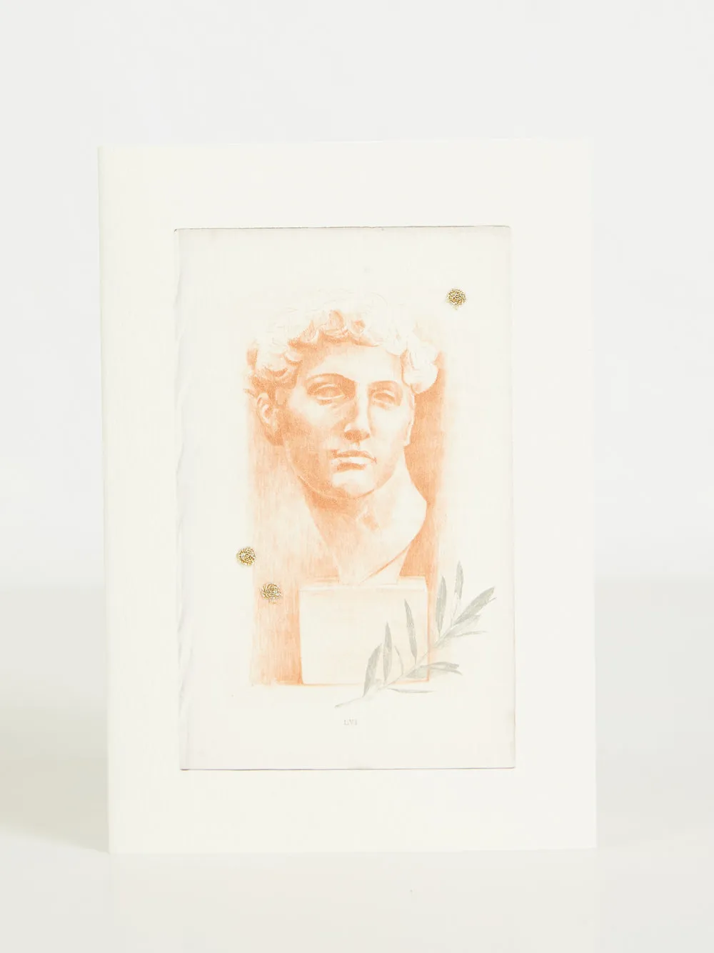 De Medici Bust