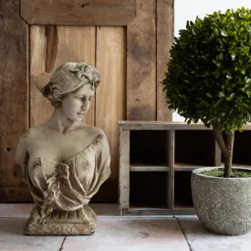 Faux Stone Bust