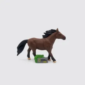 National Geographic Horses