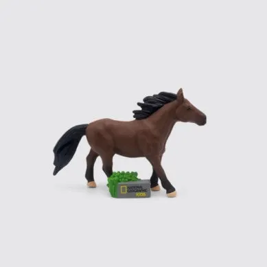National Geographic Horses